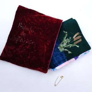 portada y fundita del libro